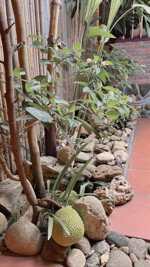 Homestay Da Nang Full House Exterior photo